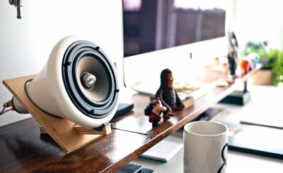 Vestibulum cras ac ferment