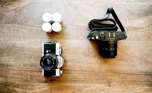 Fermentum ut varius nisi