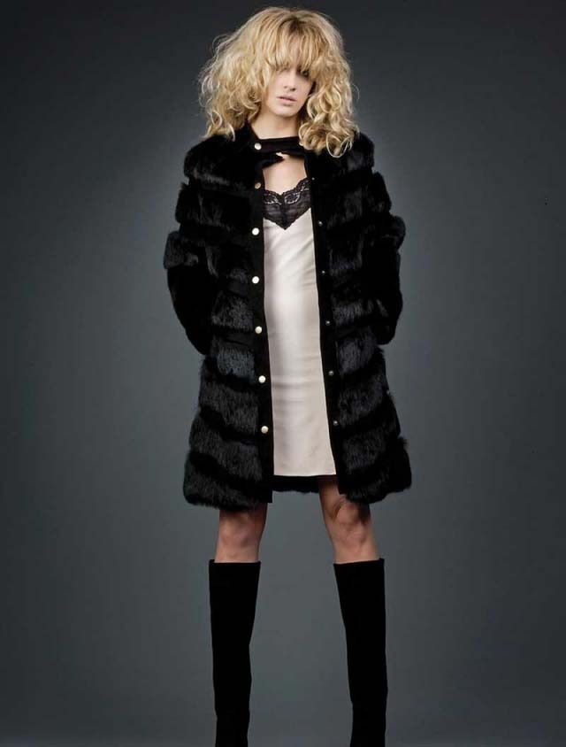 Vehicula porta porttitor