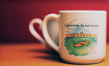 Suspendisse sagittis