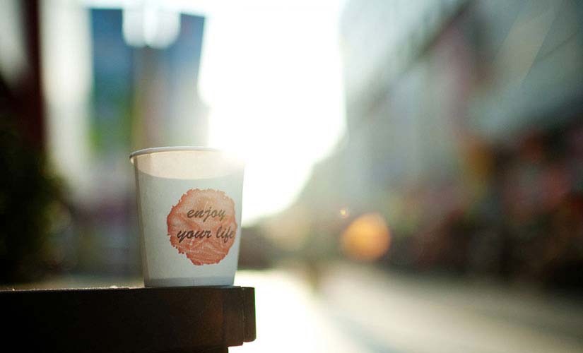 Volutpat pharetra interdum