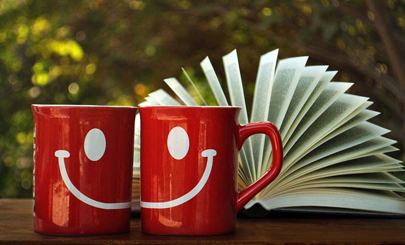 Tincidunt nulla sapien