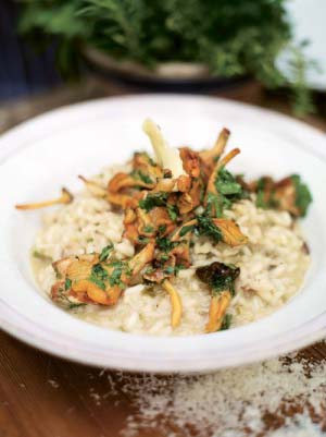 Grilled mushroom risotto