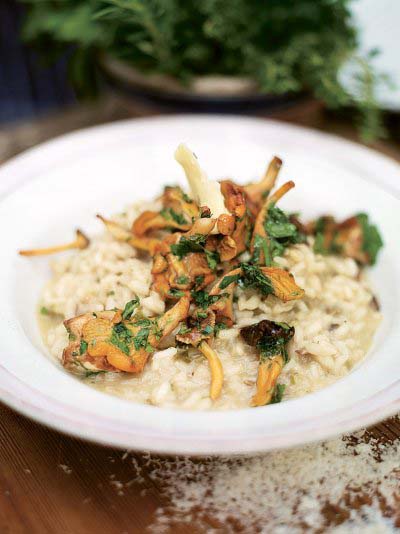 Grilled mushroom risotto