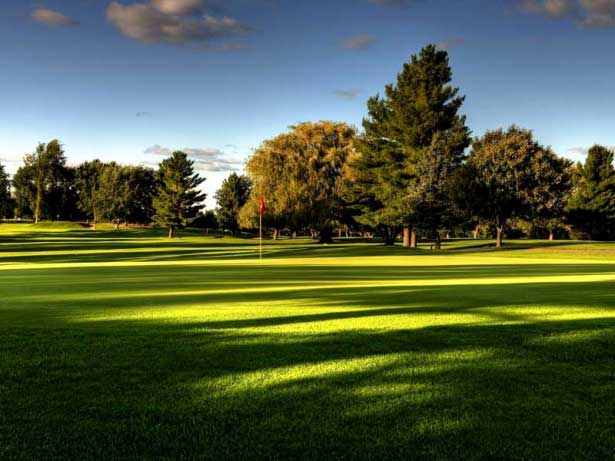 Cras vitae tortor quis