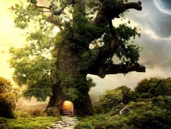 Maecenas at nuncvestibulum