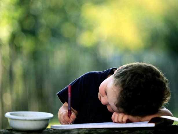 Maecenas rutrum nisi molestie