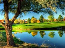 Suspendisse pharetratellus