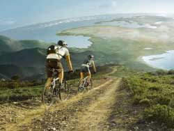 Vitae tortor quis ante