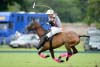 Visa issue creating changes in English polo