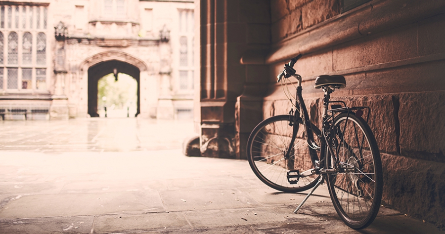 Proin rutrum libero eget