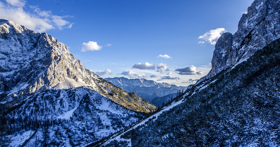 Sodales turpis magna bibendum