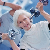 Fusce egestas convallis massa, sed placerat eros 