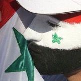 Class aptent taciti sociosqu ad litora torquent per