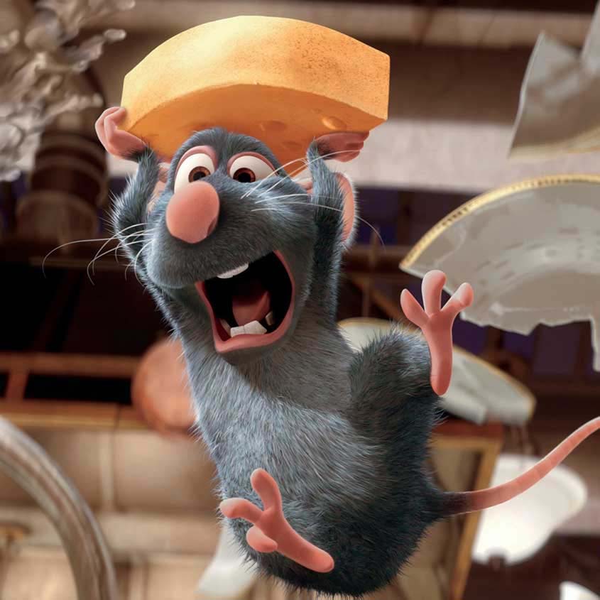 Bibendum pellentesque dolor